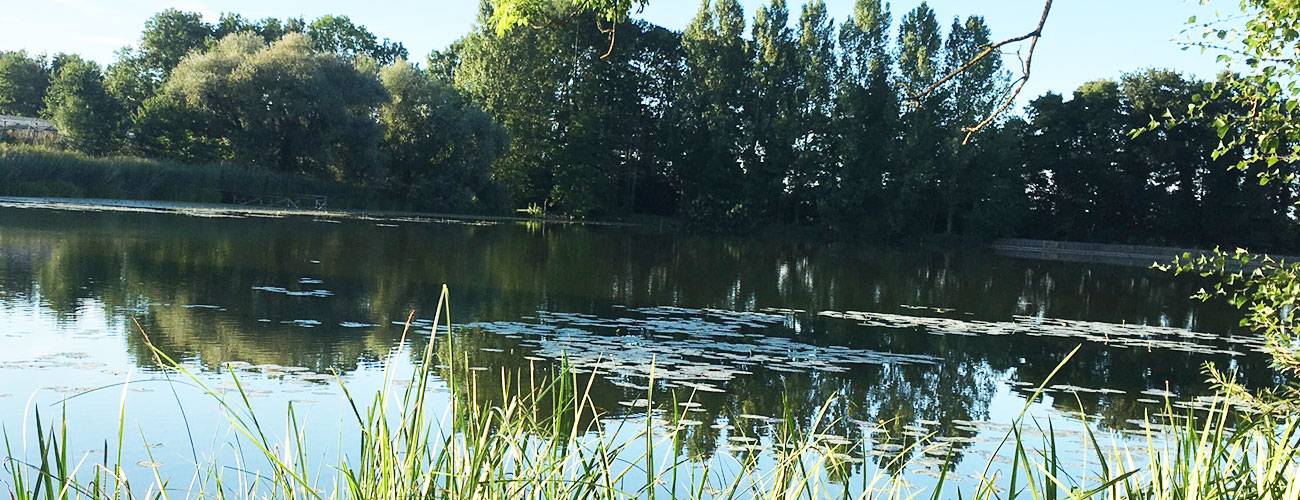 Angeln am Appenweiler Weiher Angeln am Appenweiler Weiher
