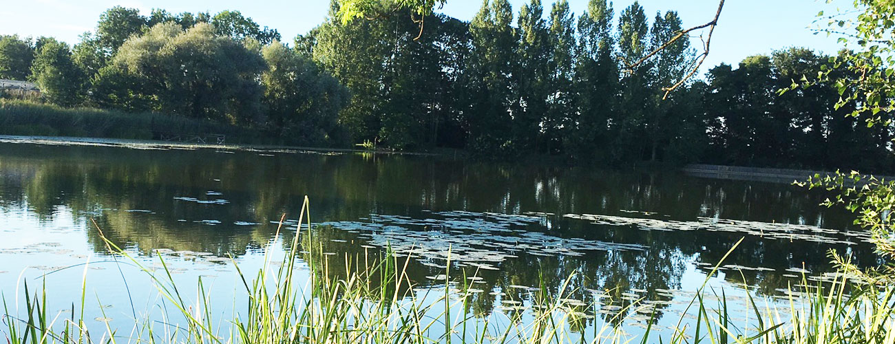 Angeln am Appenweiler Weiher